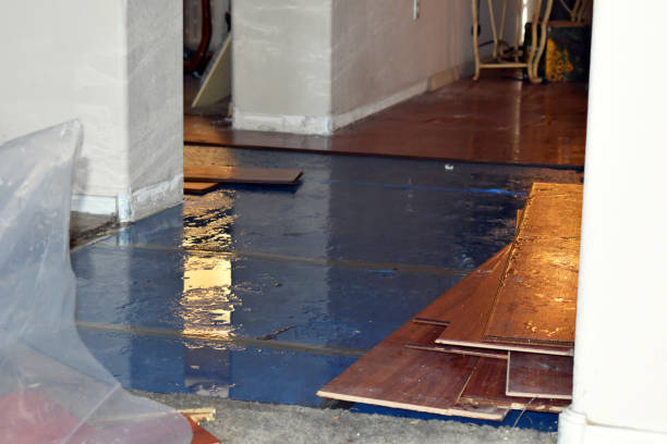 Professional Basement Water Removal technician working in Vestaburg, MI